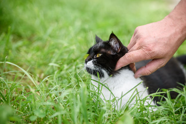 Similar image 21542019