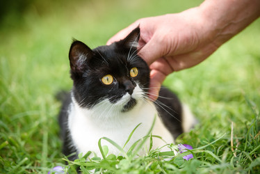 Similar image 21547095