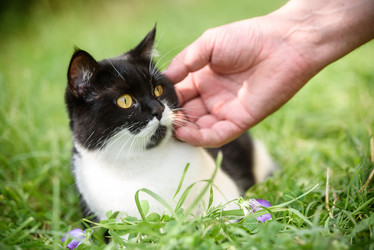 Similar image 21542022