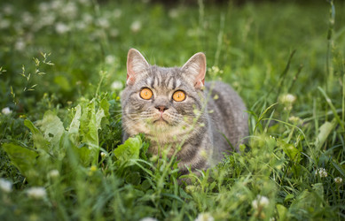 Similar image 21544953