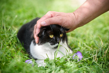 Similar image 21544954