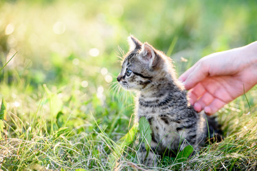 Similar image 21540157