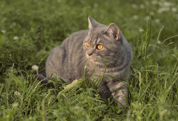 Similar image 21544955