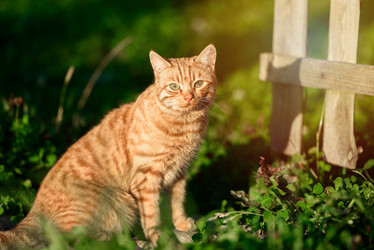 Similar image 21540164