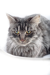 Similar image 21540168