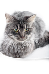 Similar image 21540169