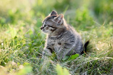 Similar image 21540349