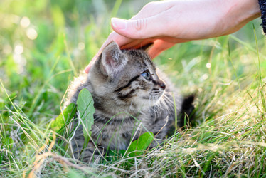 Similar image 21540353