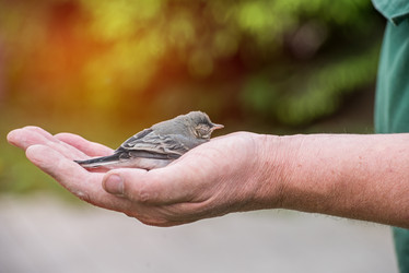 Similar image 21540965