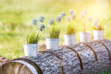 Similar image 21540970