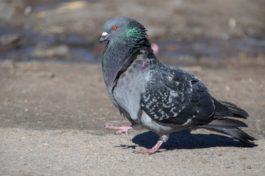 Similar image 21540971