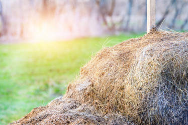 Similar image 21540972