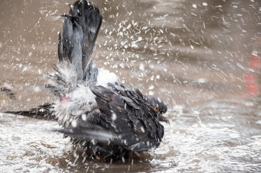 Similar image 21541289