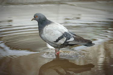 Similar image 21541290