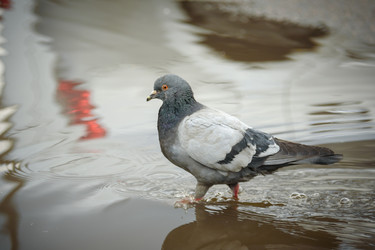 Similar image 21541293