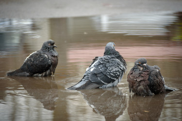 Similar image 21541298