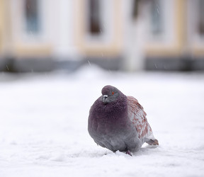 Similar image 21541308