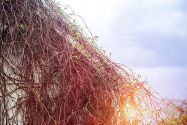 Similar image 21541315