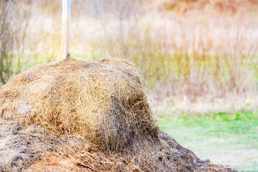 Similar image 21542024