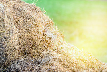 Similar image 21546401