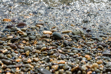 Similar image 21542036