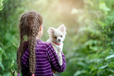 Similar image 21542037