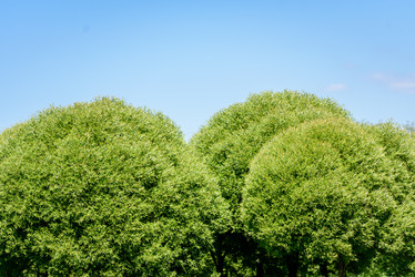 Similar image 21542040