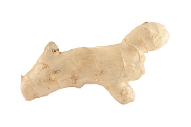 Similar image 21548498