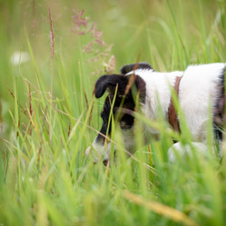 Similar image 21540366