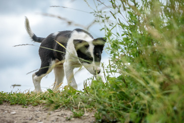 Similar image 21540368