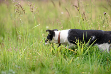 Similar image 21540370