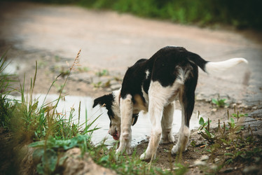 Similar image 21540371