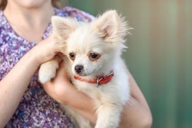 Similar image 21544956