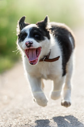 Similar image 21545170