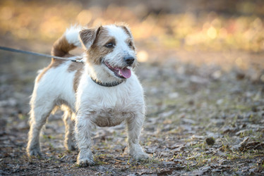 Similar image 21545171