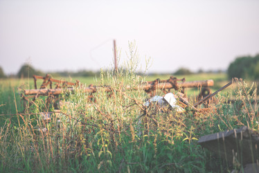 Similar image 21540738