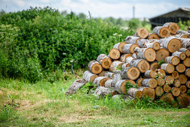 Similar image 21540742