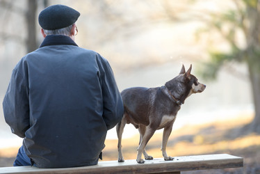 Similar image 21540743