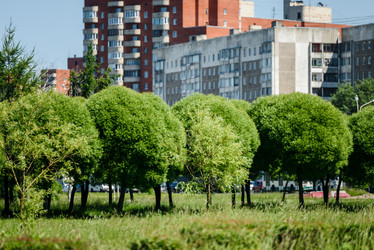 Similar image 21540744