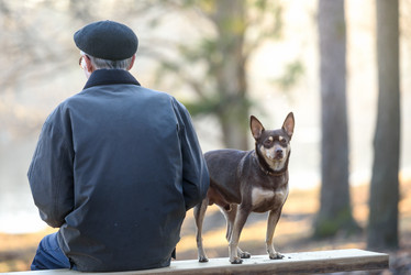 Similar image 21540979