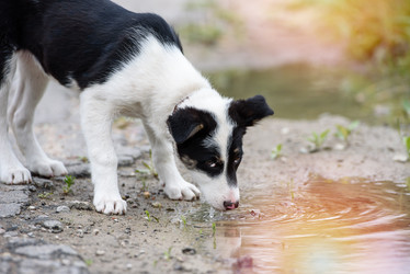 Similar image 21541316