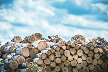 Similar image 21541323