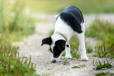 Similar image 21541324