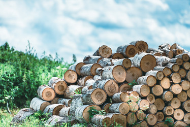 Similar image 21541325