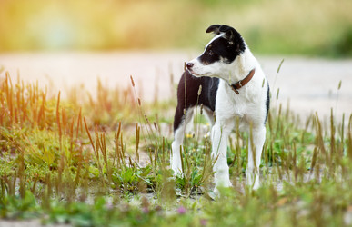 Similar image 21541326