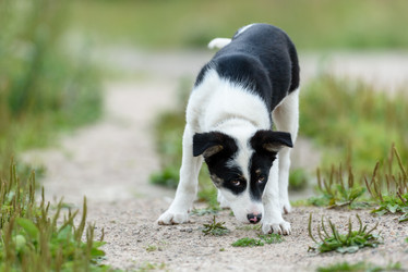 Similar image 21541331