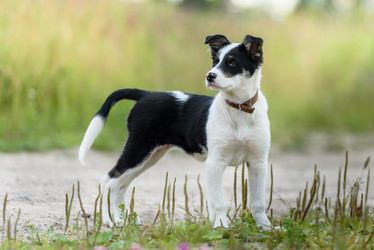 Similar image 21541333