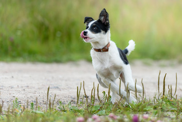 Similar image 21541335