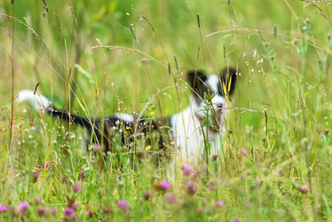 Similar image 21541338