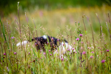 Similar image 21541342